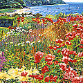 Cape Cod Ocean Garden