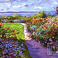 Nantucket Island Garden