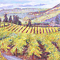 Napa Valley Vineyards