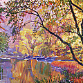 SERENE REFLECTIONS