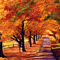 Autumn in Vermont