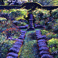Blue Garden Sunset
