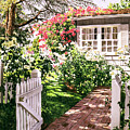 Rose Cottage Gate