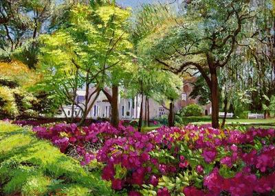 The Azaleas Of Savannah