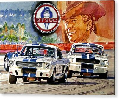 THUNDERING BLUE STRIPE GT350